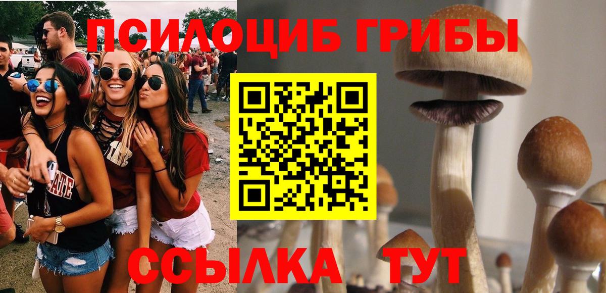 Галлюциногенные грибы Psilocybe Кыштым