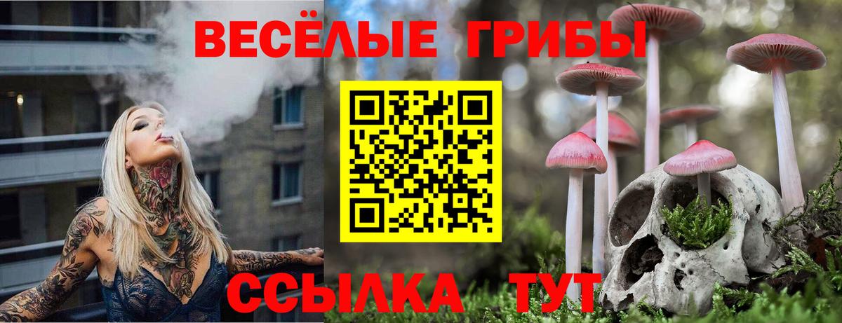 Псилоцибиновые грибы прущие грибы  Вход с VPN  Кыштым 